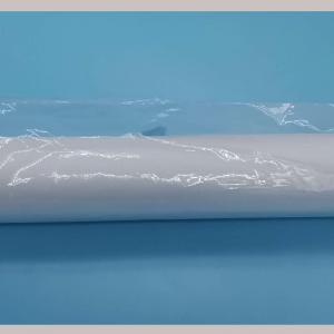 N510068906AA.MTKA000309AA.PAPER.NON WOVEN FABRIC